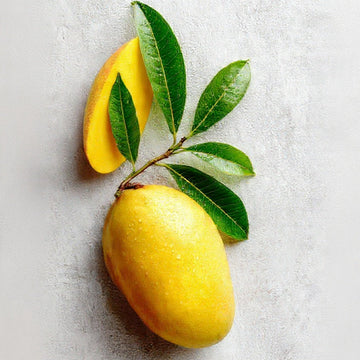Kombucha Mango