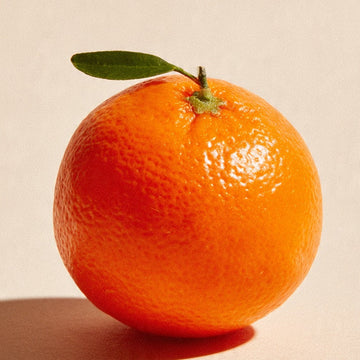 Kombucha Naranja