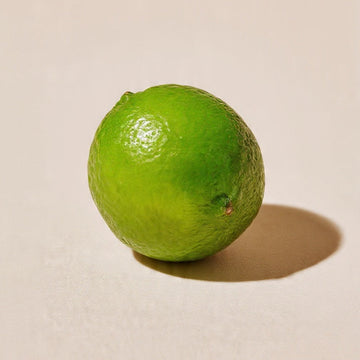 Kombucha Lima